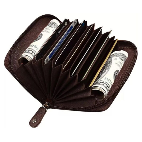 LOREM Small Pocket-Sized 9 Slot ID, Credit-Debit Card Holder with Closing Zipper for Men & Women - Brown WL601-B